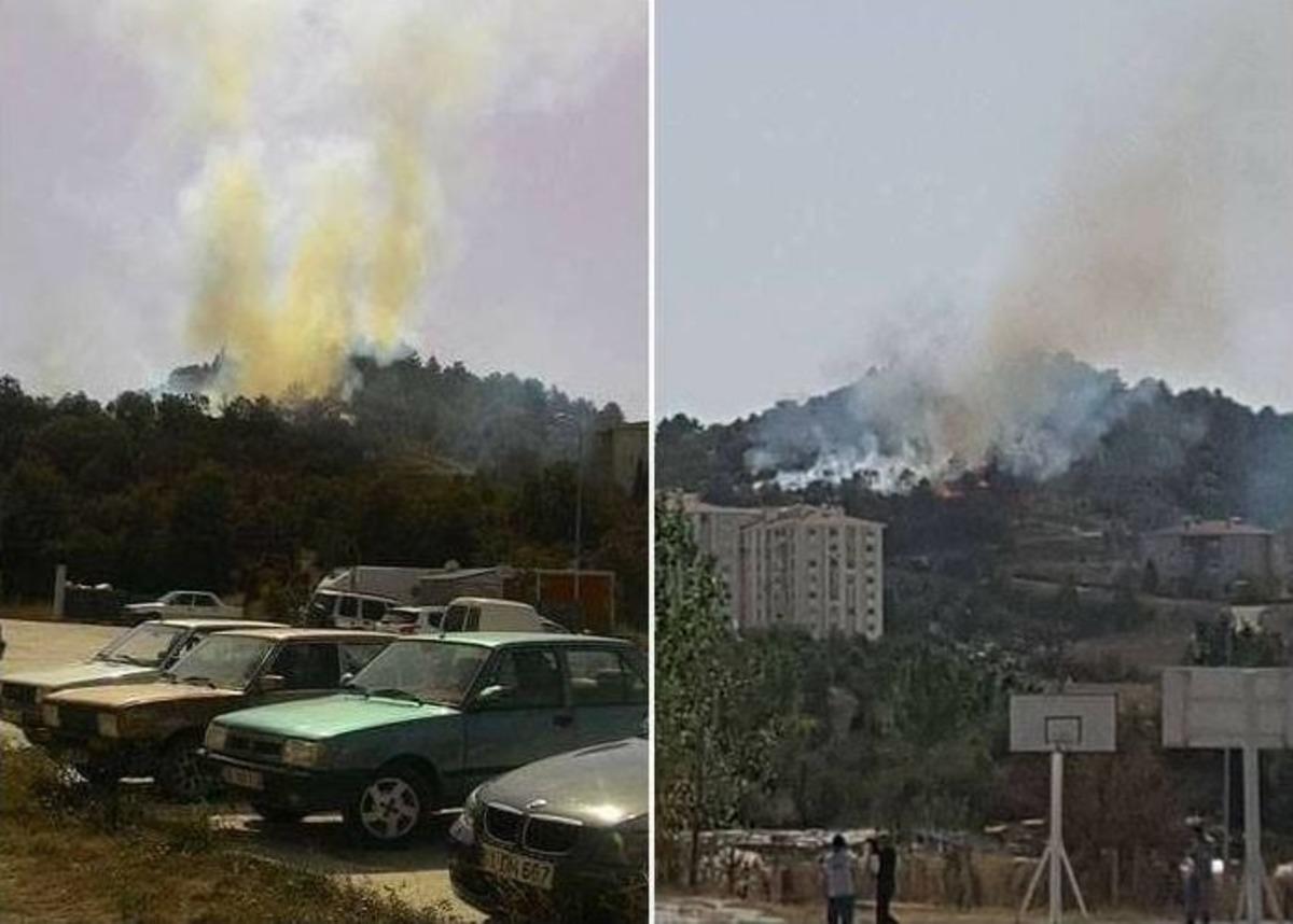Boz&uuml;y&uuml;k&rsquo;te Orman Yangını