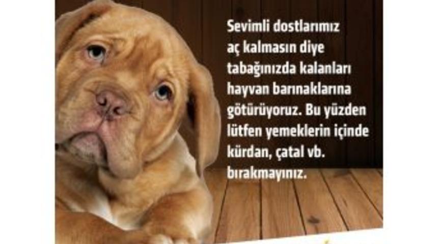 Nata Vega Outlet Alışveriş Merkezi&rsquo;nde Artan Yemekler Sokak Hayvanlarına Veriliyor