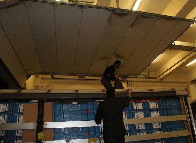 Hamzabeyli Ve Kapıkule’de 9 Kaçak Göçmen Yakalandı 3