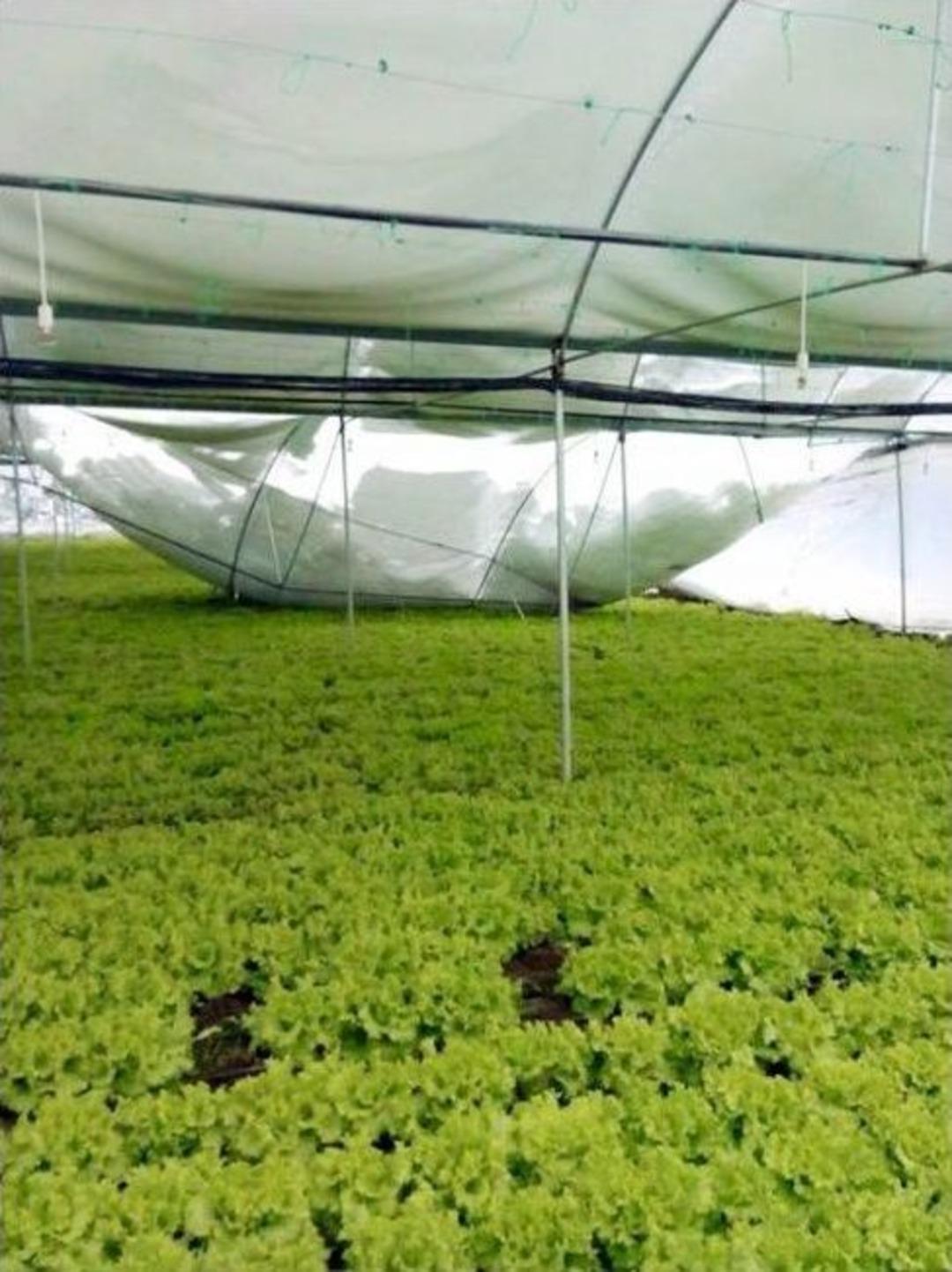 Bilecik&rsquo;te Kar Seraları Vurdu