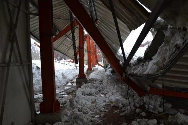 İneg&ouml;l de Ahırın &Ccedil;atısı  &Ccedil;&ouml;kt&uuml;: 7 B&uuml;y&uuml;kbaş Hayvan Telef Oldu 3