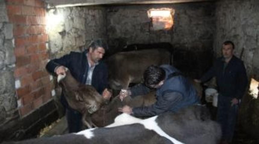 Kdz. Ereğli&rsquo;de &Ccedil;ok Sayıda Mahalle Ve K&ouml;y Karantina Altına Alındı