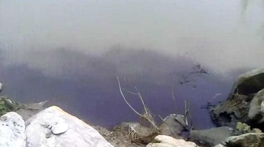 Sakarya Nehri'ne Atık D&ouml;k&uuml;ld&uuml;ğ&uuml; İddiası