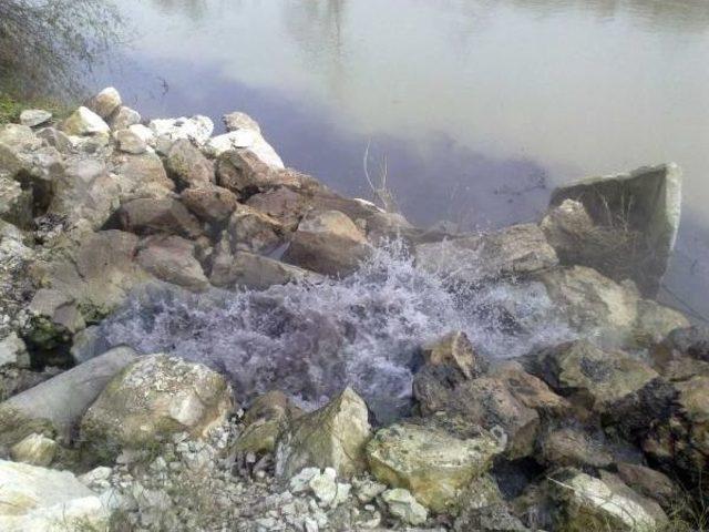 Sakarya Nehri'ne Atık Döküldüğü İddiası