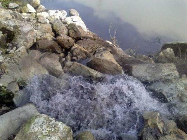 Sakarya Nehri'ne Atık Döküldüğü İddiası