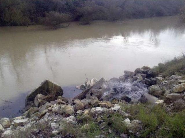 Sakarya Nehri'ne Atık Döküldüğü İddiası