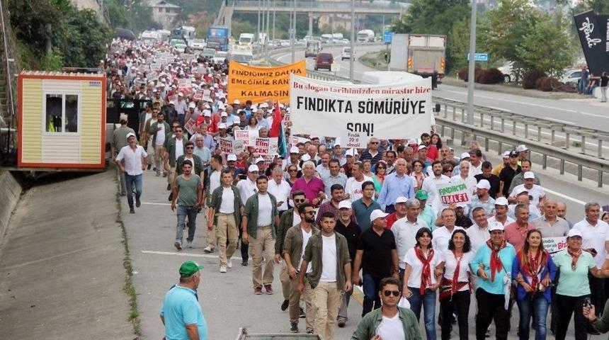 Ordu-giresun Arasında Yapılan "fındık İ&ccedil;in Adalet Y&uuml;r&uuml;y&uuml;ş&uuml;" 3. G&uuml;n&uuml;nde Tamamlandı