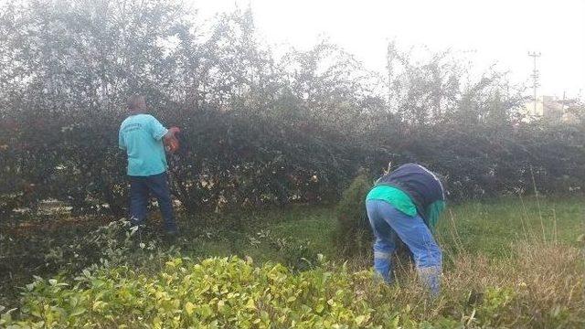 Kartepe’de Parklar Bakımdan Geçiriliyor