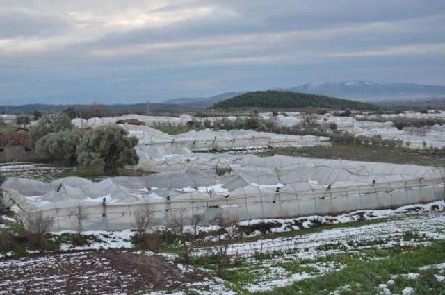 Kar Mağduru Seracılara B&uuml;y&uuml;kşehir Belediyesinden Destek S&ouml;z&uuml; (2) 1