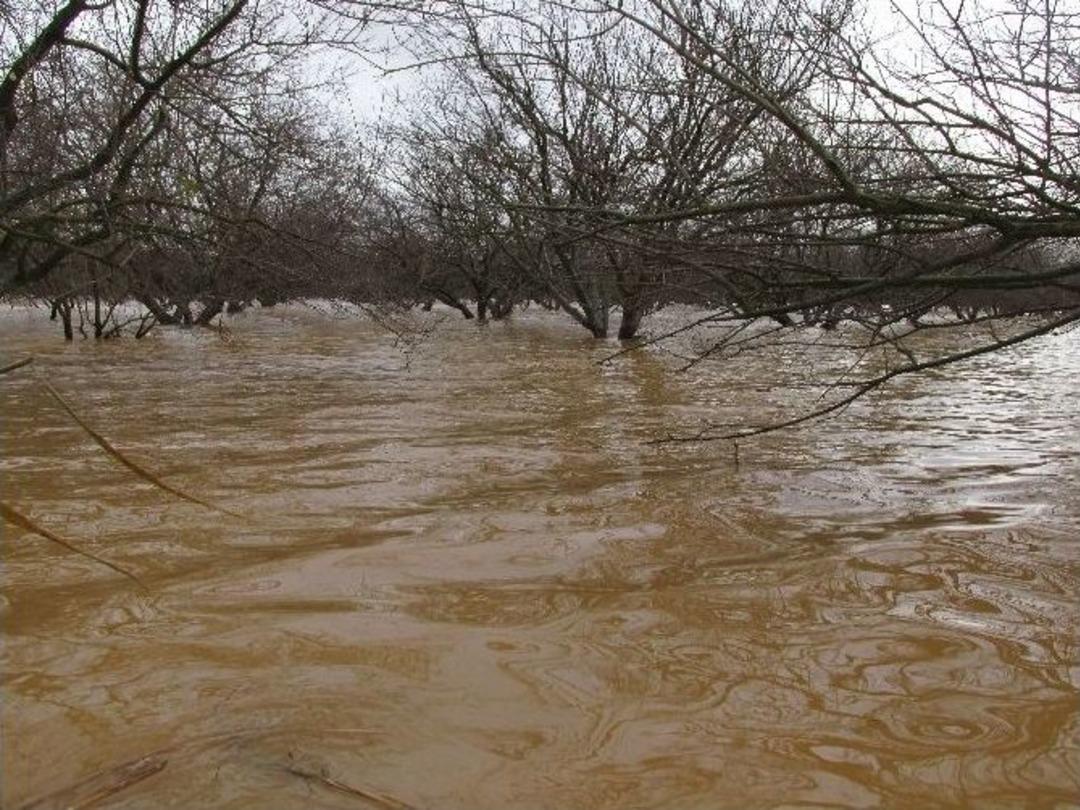 Menderes Taştı, Aydın Ovası G&ouml;le D&ouml;nd&uuml;
