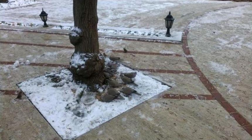 Tekirdağ&rsquo;da Ak Partililer A&ccedil; Kalan Kuşları Unutmadı