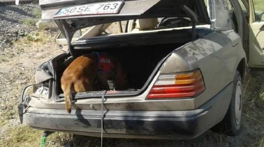 Kazada Kopan Kulağı, Arama- Kurtarma K&ouml;peği Buldu