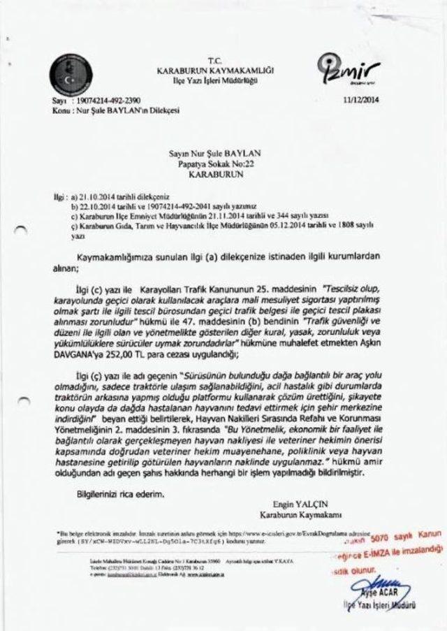 Hasta Keçisini Kurtarmak İsterken Trafik Cezası Kesildi 1
