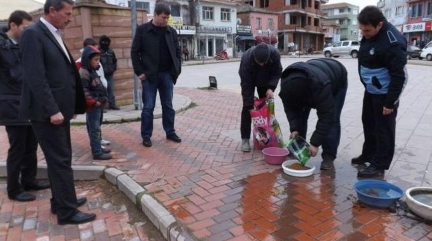 Soğukta A&ccedil; Kalan Hayvanları Unutmadılar