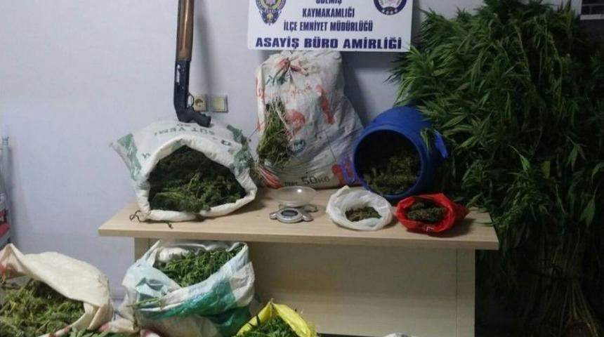 İzmir Polisinden B&uuml;y&uuml;k Esrar Operasyonu