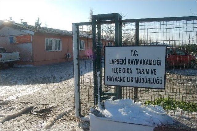 Lapseki İlçe Tarım Müdürlüğünde Hırsızlık