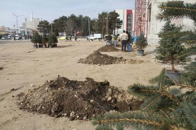 Erciş İlçesine Kadın Parkı