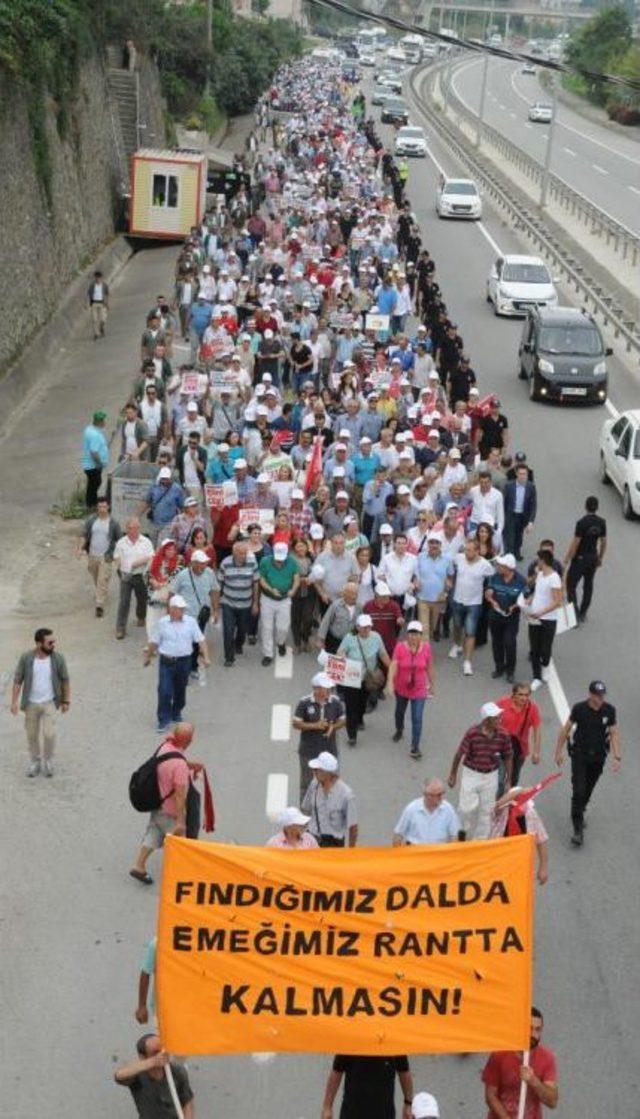 Kılı&ccedil;daroğlu, &lsquo;Fındık İ&ccedil;in Adalet&rsquo; Mitinginde Konuştu: Elin Oğlu Neden Fiyatı Belirliyor ? 3