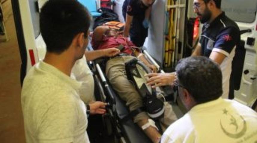 Yılanın Isırdığı &Ccedil;ocuk Hastanelik Oldu