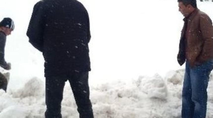 Yenipazar Belediyesi Yabani Hayvanları Unutmadı