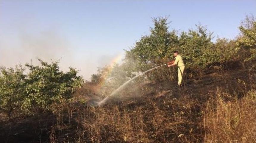 Çerkezköy'de Orman Yangını