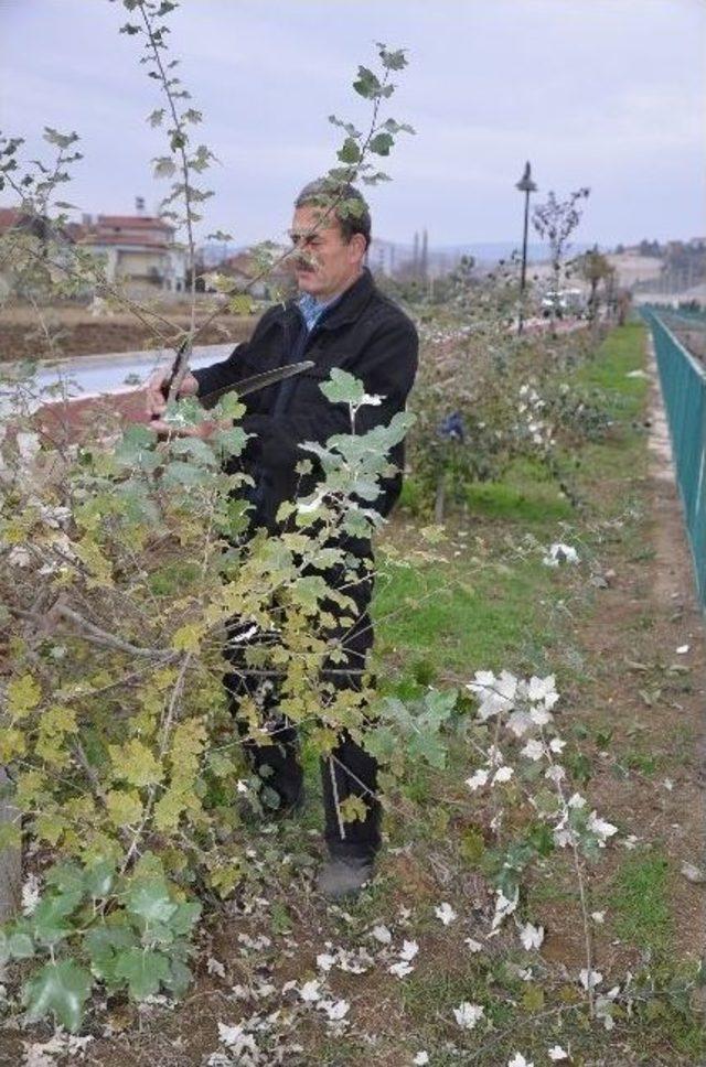 Kanal Boyunda Aydınlatma Çalışmaları