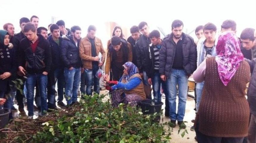 &Ouml;ğrenciler Fidanlıkta İnceleme Yaptı