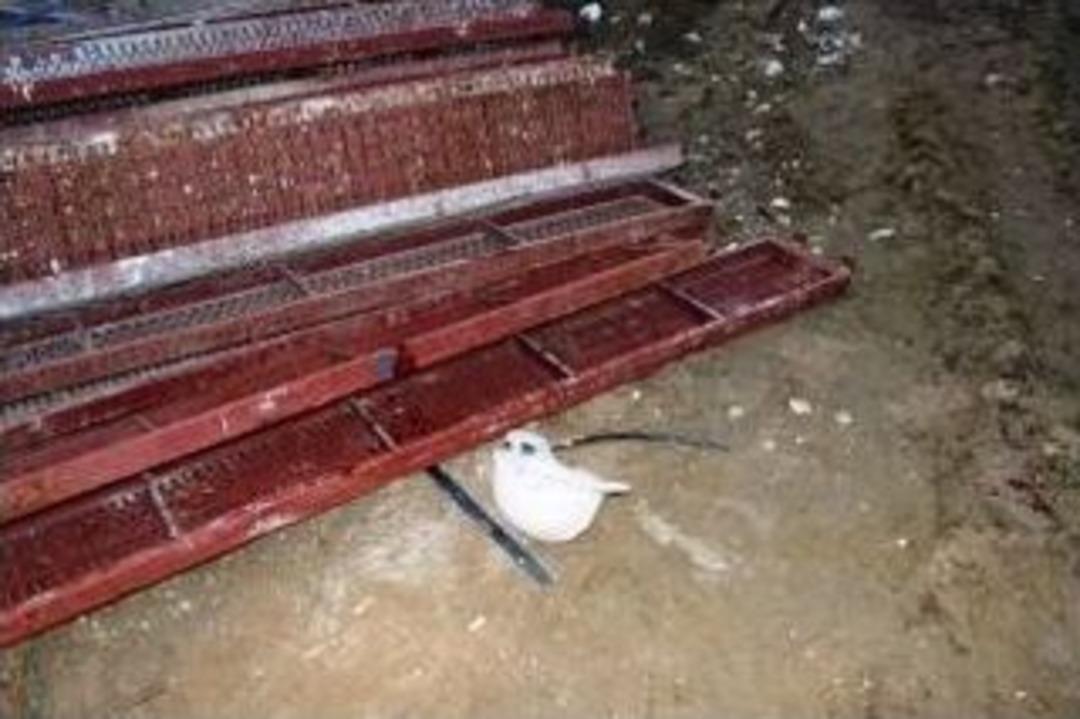 İş&ccedil;inin Bareti Hayat Kurtardı