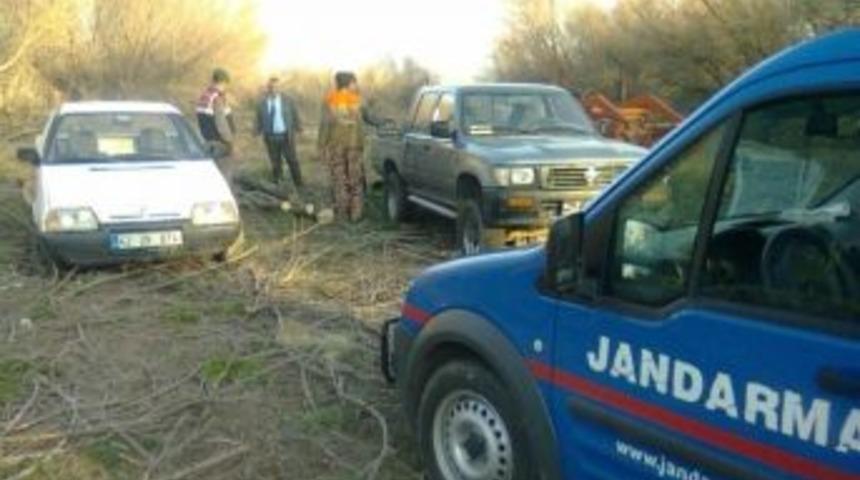 Milli Parkta Ağa&ccedil; Keserken Yakalandı