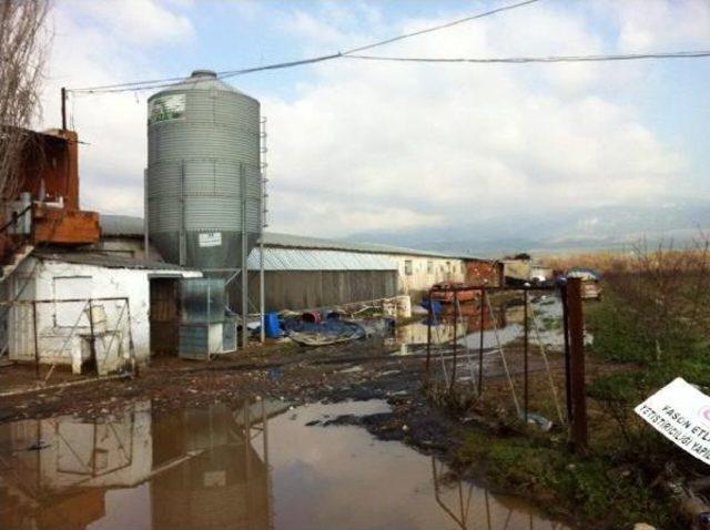 Taşan Gediz Nehri'nin Faturası Ağır Oldu