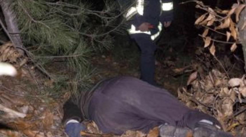 Ağa&ccedil; Budamaya Gitti, Dağda &Ouml;l&uuml; Bulundu