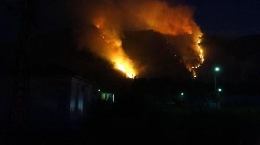 Karabük'te Orman Yangını