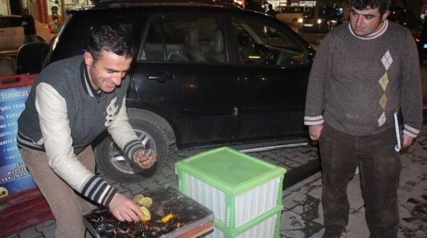 (&ouml;zel Haber) Hakkarililer Midye İle Tanıştı