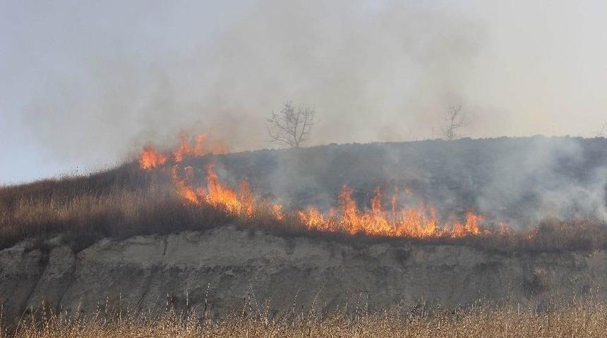 Piknik Ateşi Ormanı Yaktı