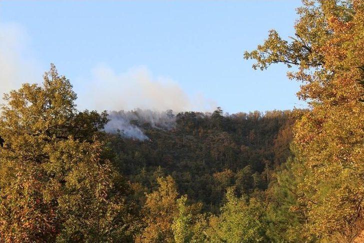 Zonguldak’ta Orman Yangını