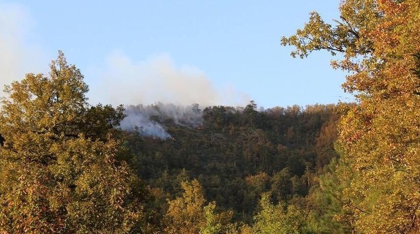 Zonguldak&rsquo;ta Orman Yangını
