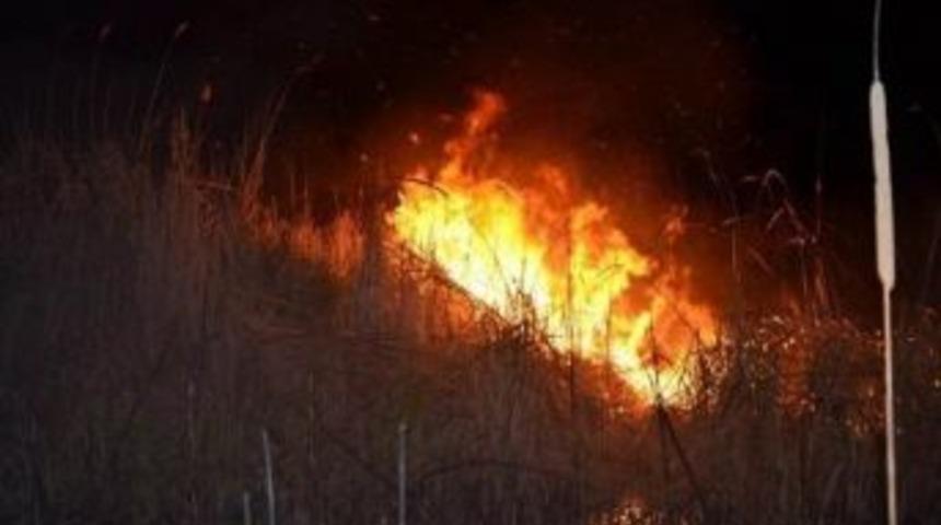 Beyşehir G&ouml;l&uuml; Milli Parkında Sazlık Yangını