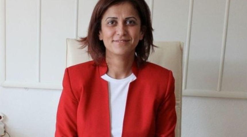 19 Kasım Koah&rsquo;ı Tanıma Ve &Ouml;nemini Kavrama G&uuml;n&uuml;