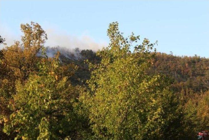 Zonguldak'ta Ormanlık Alanda Örtü Yangını