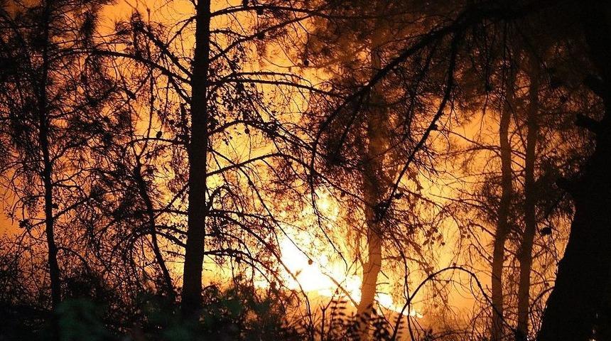 Karab&uuml;k&rsquo;teki Orman Yangınına M&uuml;dahale S&uuml;r&uuml;yor