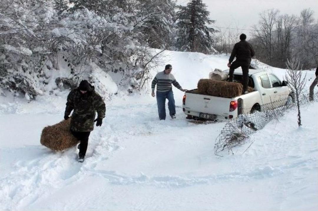 Orman Sakinlerine Karda Ziyafet