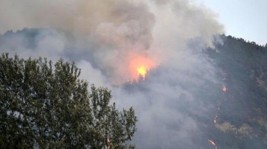 Karab&uuml;k'te Orman Yangını (2)