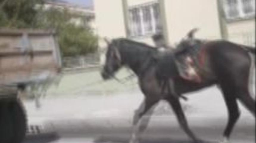 Vicdansız S&uuml;r&uuml;c&uuml; R&ouml;morkun Arkasına Bağladığı Atı Kilometrelerce Koşturdu