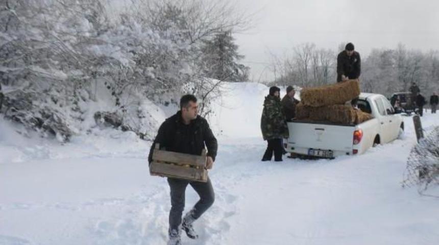 Uludağ'daki Yaban Hayvanlarına Yiyecek Bırakıldı