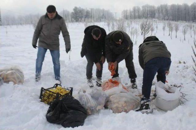 Uludağ daki Yaban Hayvanlarına Yiyecek Bırakıldı 2