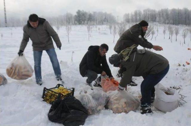 Uludağ daki Yaban Hayvanlarına Yiyecek Bırakıldı 3