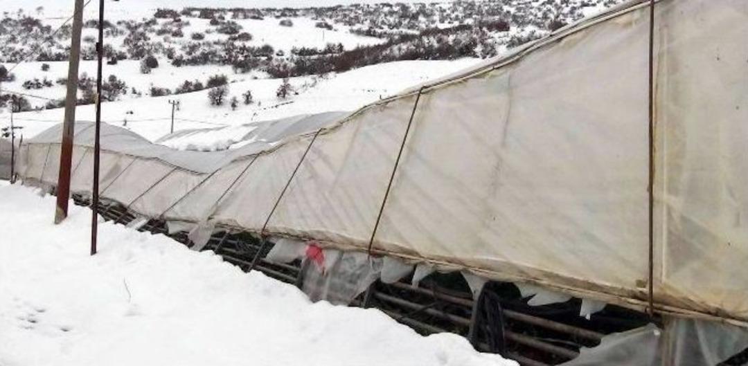 Yoğun Kar Yağışı Seraları Yıktı