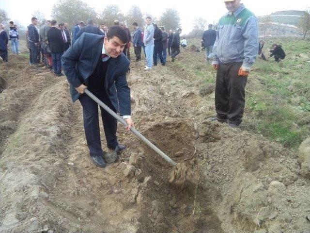 Özdilek’ten Yeşile Destek 1