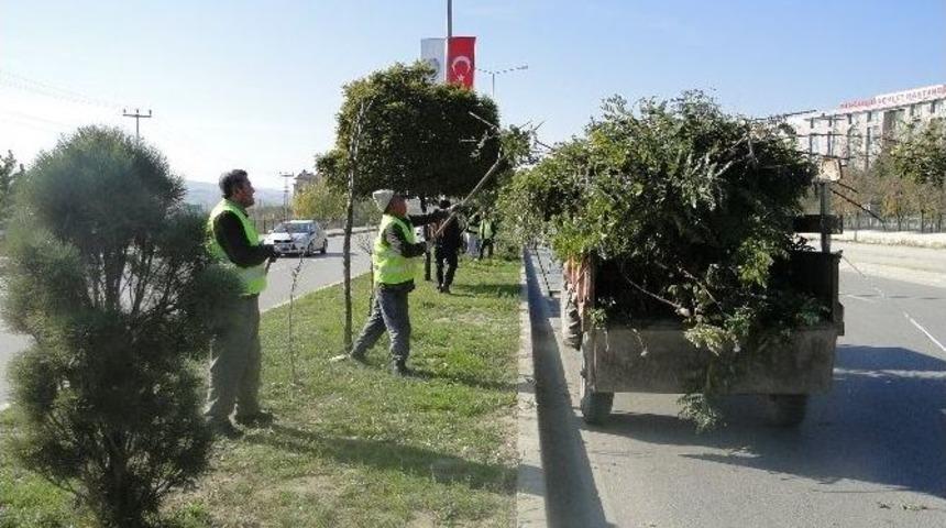 Sungurlu Belediyesi&rsquo;nden Kış Hazırlığı