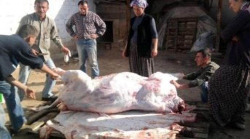 Tartıştığı Eşini Tabancayla Vurarak &Ouml;ld&uuml;rd&uuml;